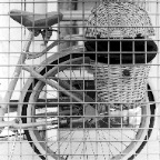 Urban Commuter.jpg