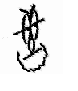 top logo